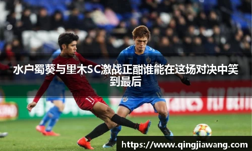 水户蜀葵与里木SC激战正酣谁能在这场对决中笑到最后